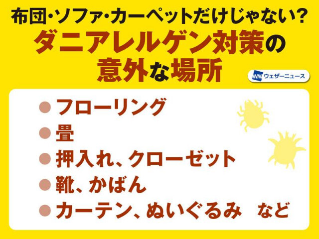 秋はダニ由来のアレルギーに注意　布団やソファ以外に対策すべき場所は