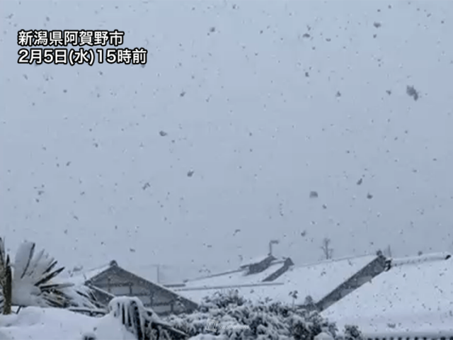 寒波の影響は週明けまで続く　強弱を繰り返しながら積雪増加
