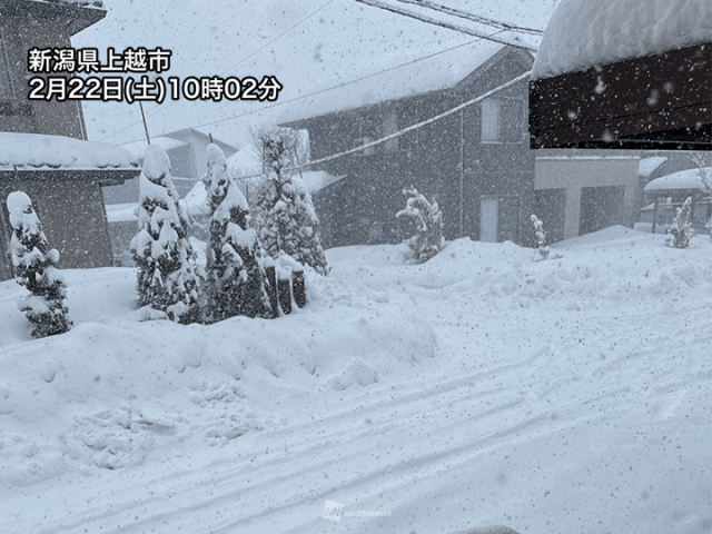 寒波後半のピーク　北陸から山陰で積雪急増　東北も局地的な激しい雪に警戒