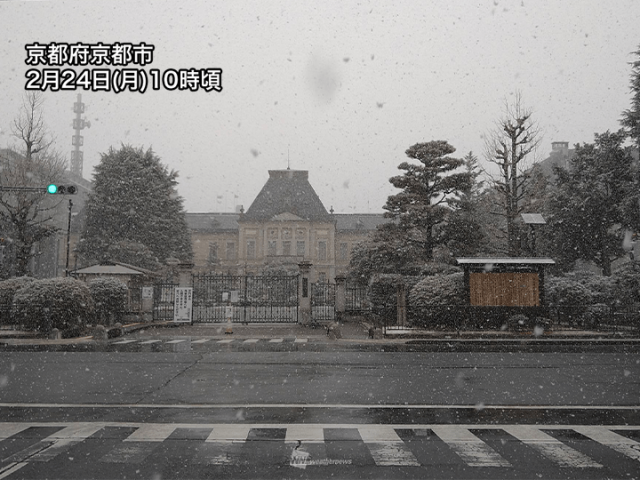 京都市内で本格的な雪　車の運転や歩行時のスリップに注意