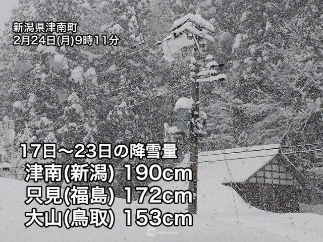 一連の寒波で多い所は200cm近い降雪　記録的な積雪になった所も