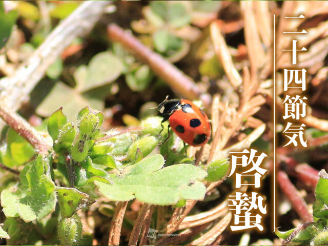 二十四節気「啓蟄(けいちつ)」　春が訪れ虫も山も笑顔になる時季？