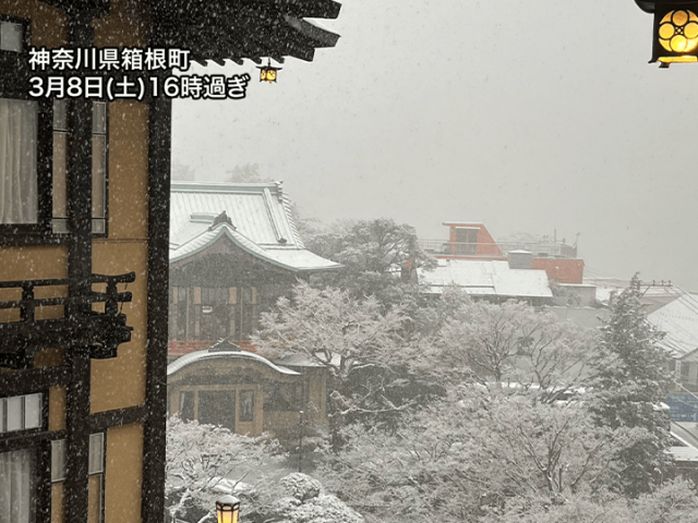 関東は本格的な雪や雨に　今夜にかけて内陸部や山沿いは積雪注意
