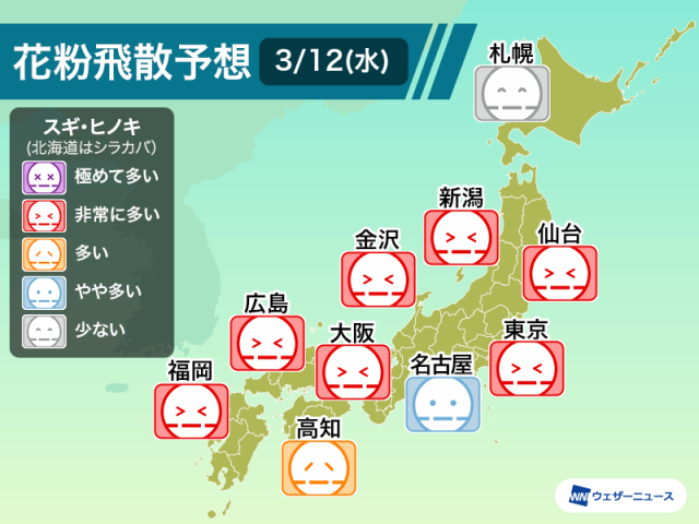 今日も花粉飛散は非常に多い予想　南風で日本海側にも多く飛散
