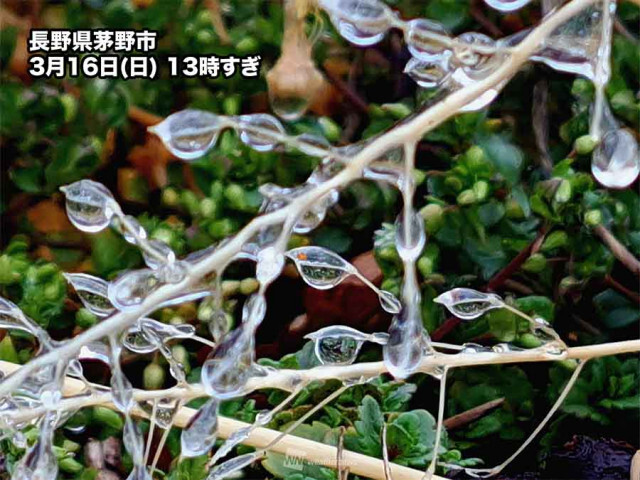 長野県中部で雨氷(うひょう)の一種か　雨が地上で凍る