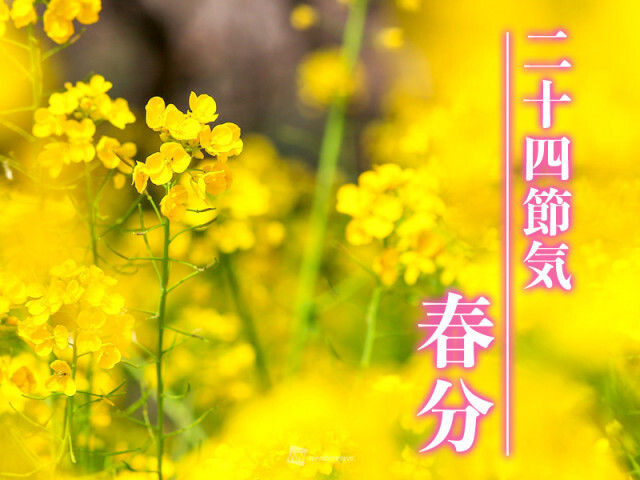 二十四節気「春分」　「さくらの日(3月27日)」も近づく名実ともに”春”の頃