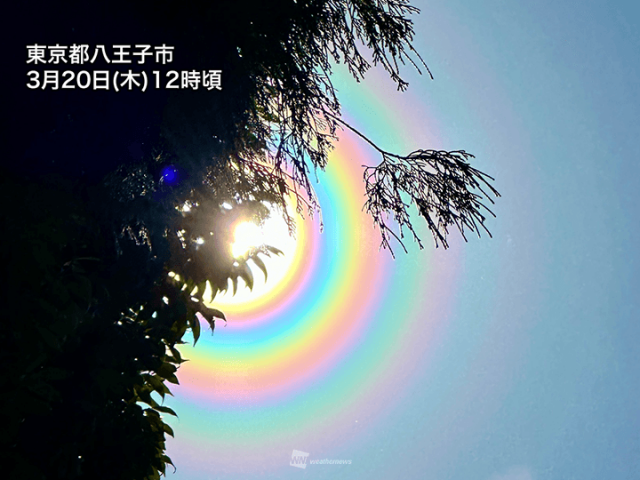 青空戻って花粉の飛散が増加　関東などで花粉光環が出現