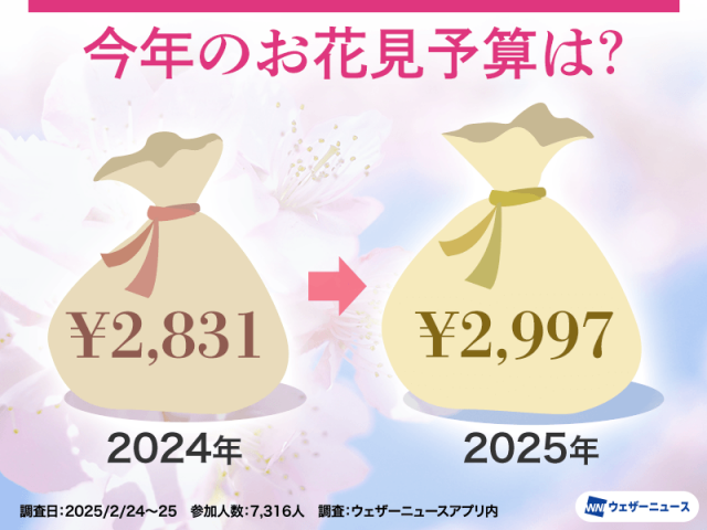 桜お花見調査　予算は過去7年で最高額　石川や富山は500円前後が多数派