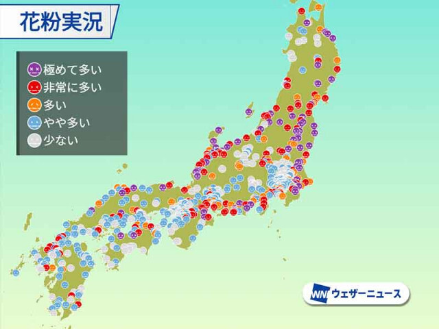 今日から明日も花粉が多く飛散　晴れて気温が上昇