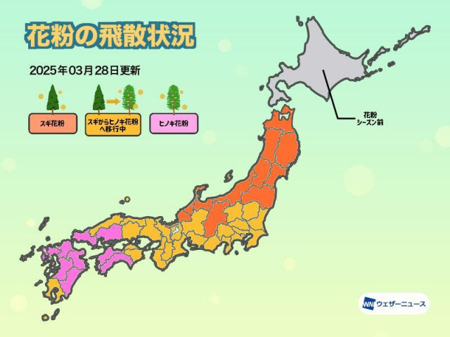 各地で花粉飛散続く　西日本はスギからヒノキへ移行