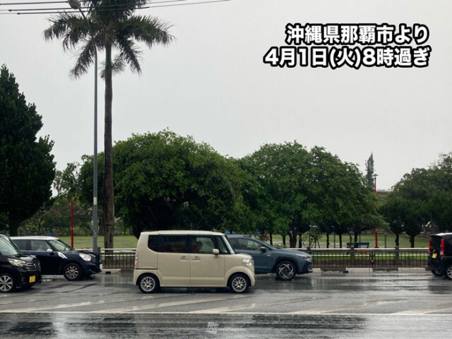 沖縄・奄美で本降りの雨　九州南部も夕方まで雨が降りやすい