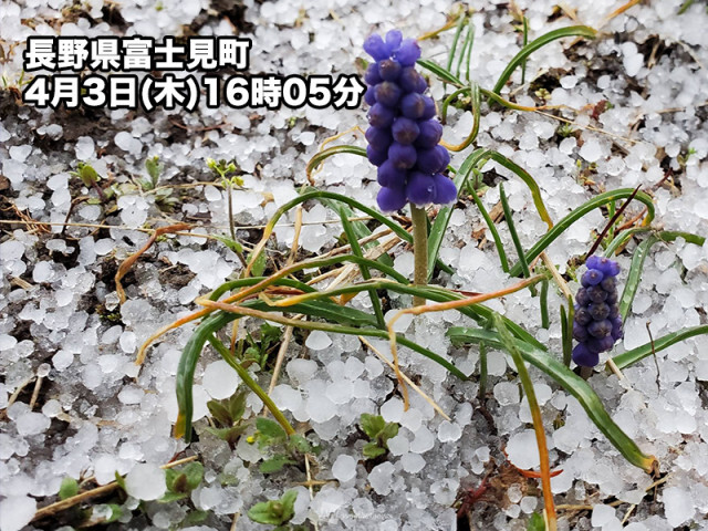 広範囲で局地的に雨雲が発達　アラレの降った所も