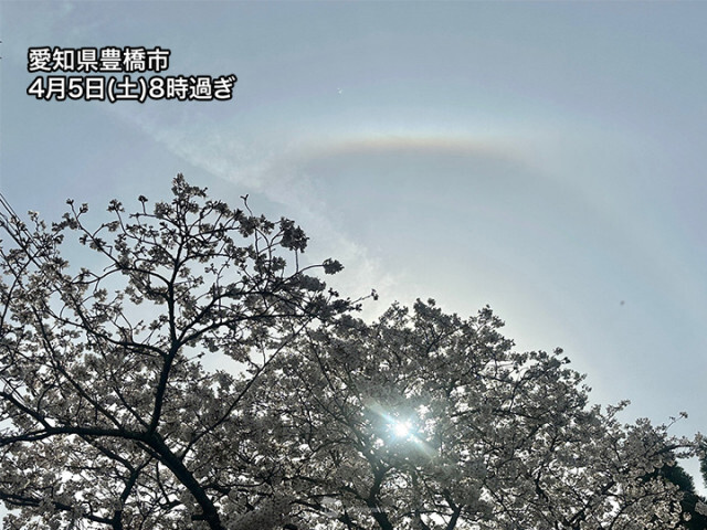 西日本から東海でハロやアーク　天気下り坂の予兆　お花見には雨具を