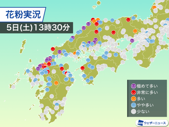 九州北部や山陰で花粉大量飛散　8割以上の人に症状