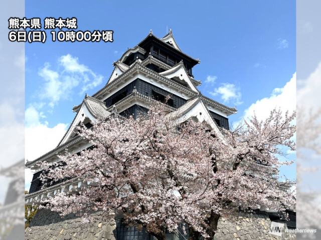 九州や中四国では青空に桜が映える　そろそろ見納めの所も
