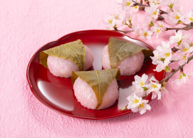 桜餅の葉っぱ、シェア7割の産地はどこ？　桜葉漬けの歴史や採取方法