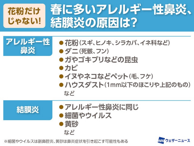 鼻水や目の痒みは花粉じゃない場合も？春に多い鼻炎・結膜炎　