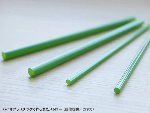 万博でも注目！ CO2を栄養源に“プラスチック”を作る“細菌”って？