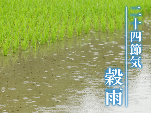 二十四節気「穀雨」　初夏直前の“豊かな春”