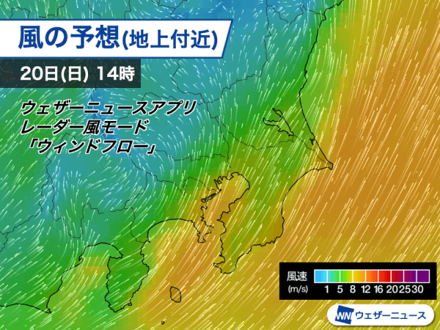 関東は東京湾周辺を中心に南西強風　飛来物などに注意