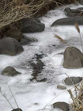 川が凍った