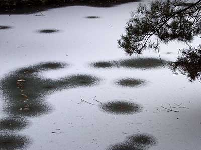 雪の積もった池
