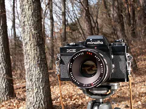 今日のクラシックカメラ（ミノルタXE） - 海野和男のデジタル昆虫記