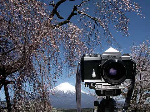 日本のカメラ（ニコンF）