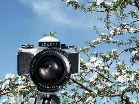 今日のクラシックカメラ（エクザクタVX1000）
