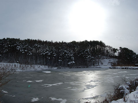 ため池の氷