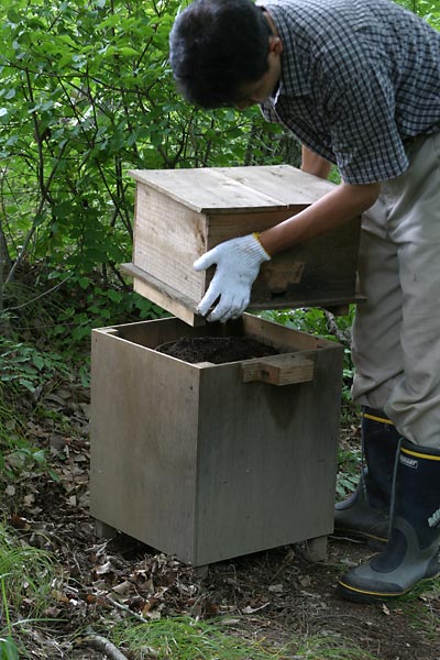 クロスズメバチの巣箱