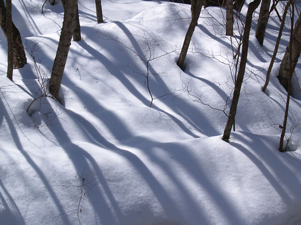 雪の上の影