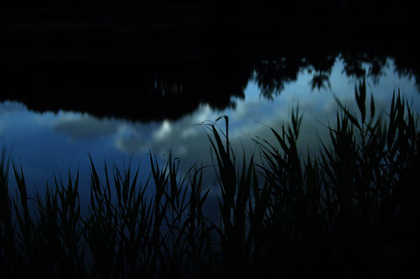 夜のため池