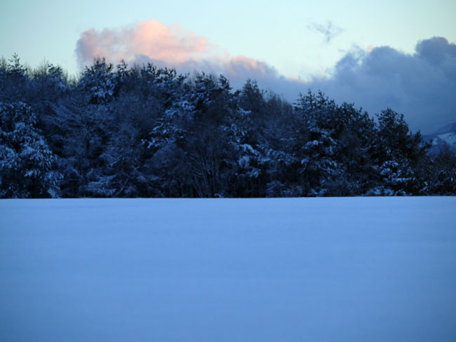 雪原（DMC-L1　Zuiko　Digital50-200）