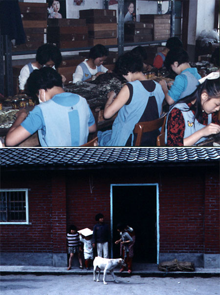 台湾、埔里1970