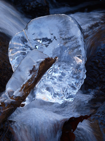 氷の芸術