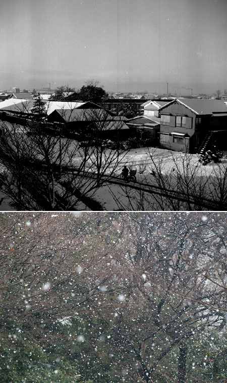 東京の雪