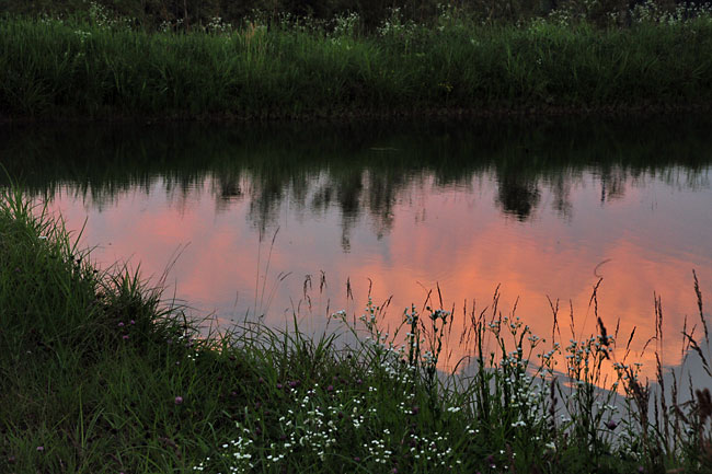 夕方の溜め池