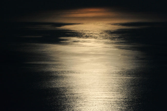 月光に輝く海