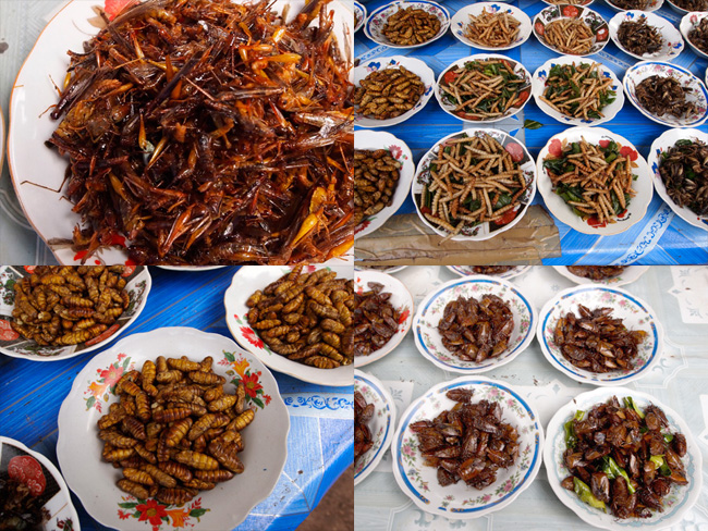 ラオスの市場の食用昆虫