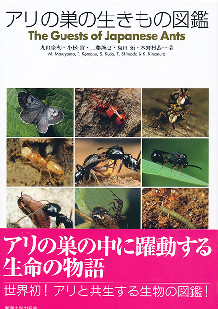 アリの巣の生き物図鑑