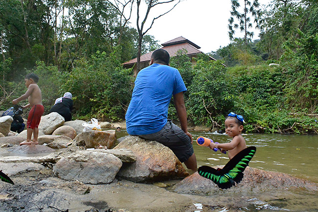 アカエリトリバネアゲハを水鉄砲で撃つ少年