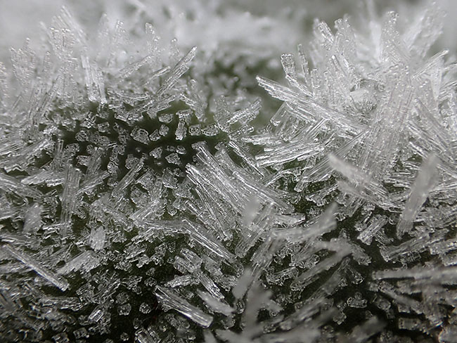 霜の結晶