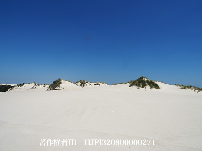 砂丘　Yeagarup Dunes