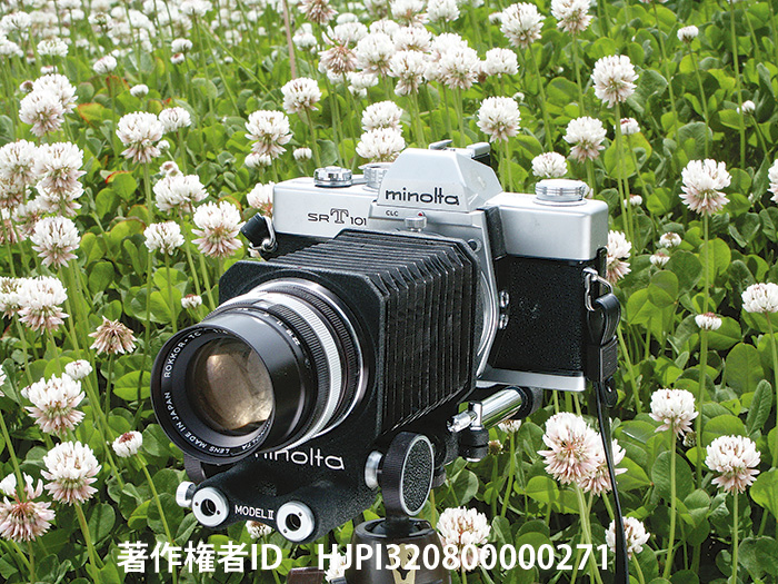 ミノルタSRT101 MINOLTA SRT101 1966 - 海野和男のデジタル昆虫記 - 緑 ...