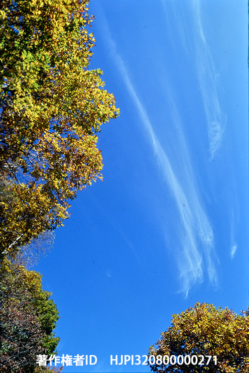 秋の雲　ニコンF-2　