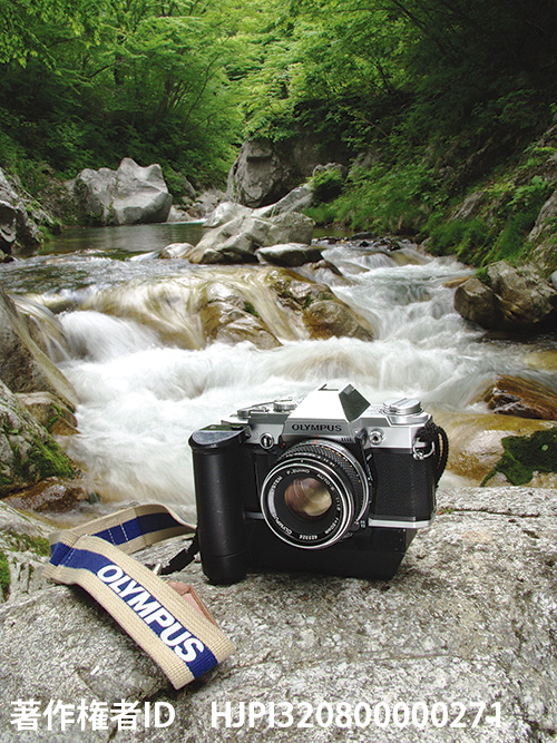 オリンパスOM-30 OLYMPUS OM-30 1982 - 海野和男のデジタル昆虫