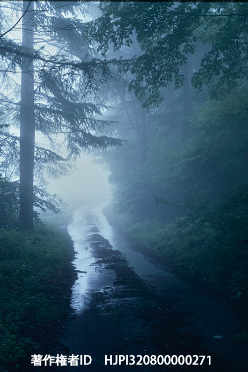 霧の道　オリンパスOM-1 