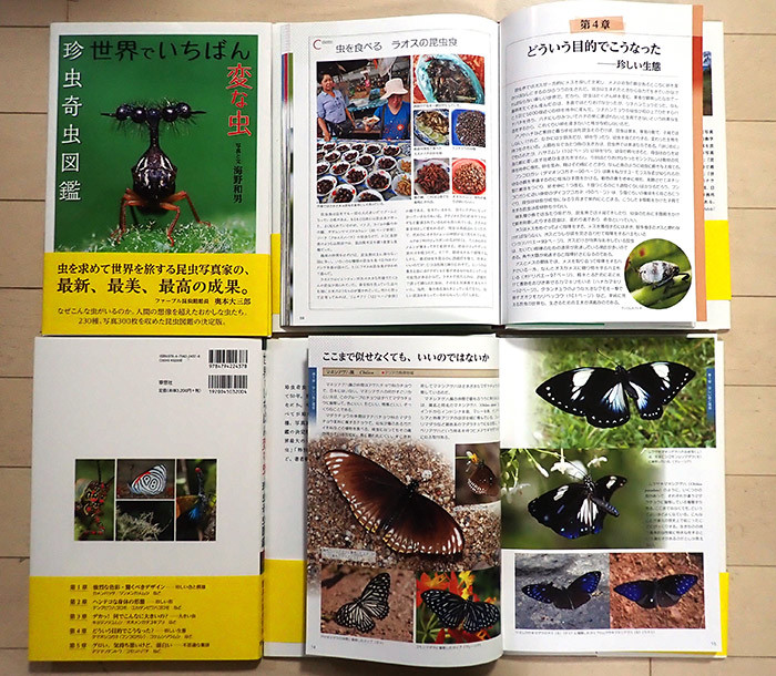 「珍虫奇虫図鑑」世界でいちばん変な虫が刊行されました。