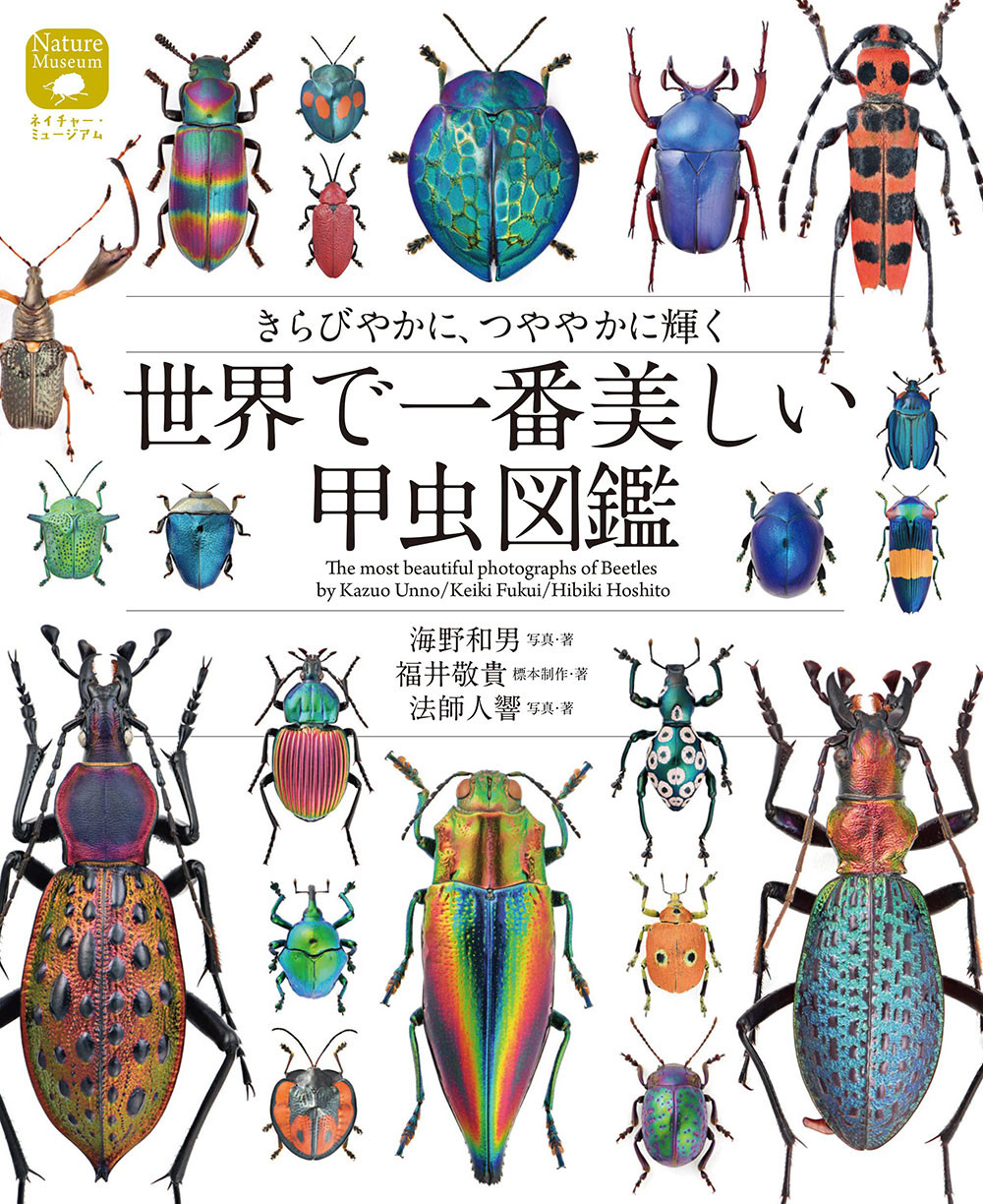 世界で一番美しい甲虫図鑑、まもなく発売